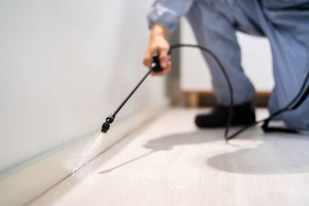 Professional Pest Control in Benavides, TX