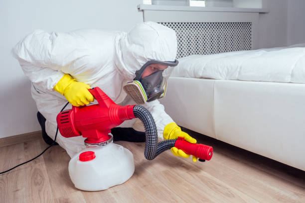 Best Wasp Removal Services  in Benavides, TX
