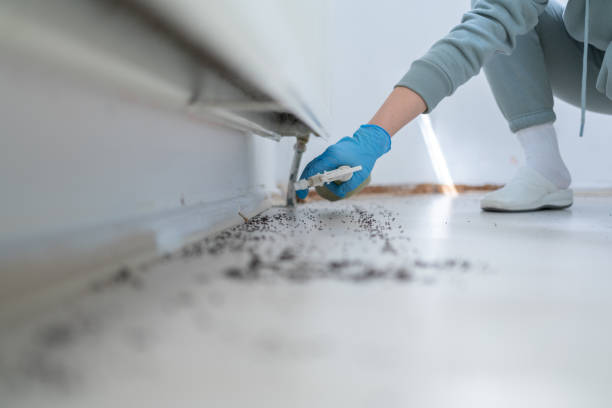 Best Best Pest Control Companies  in Benavides, TX